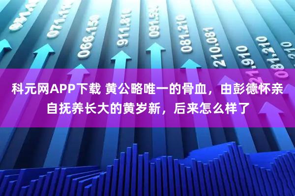 科元网APP下载 黄公略唯一的骨血，由彭德怀亲自抚养长大的黄岁新，后来怎么样了