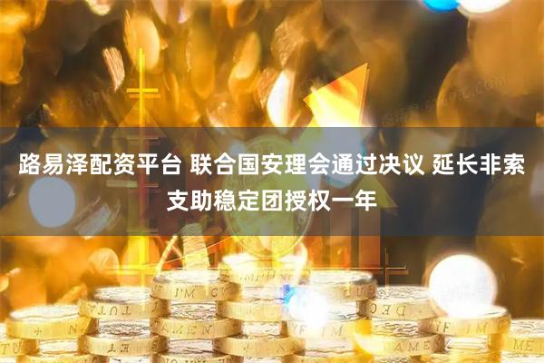 路易泽配资平台 联合国安理会通过决议 延长非索支助稳定团授权一年