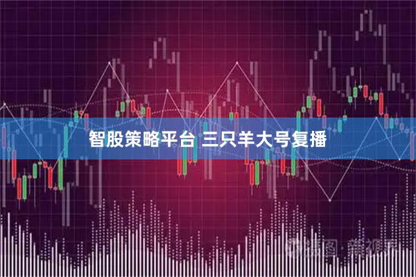 智股策略平台 三只羊大号复播